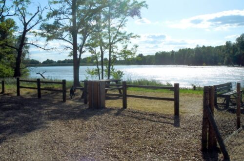 Camping Le Port_Saint Benoit sur Loire (6)_WEB. Crédit photo :