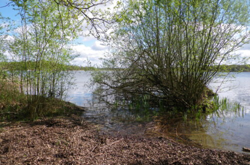 Etangs du Puits _ Cerdon.