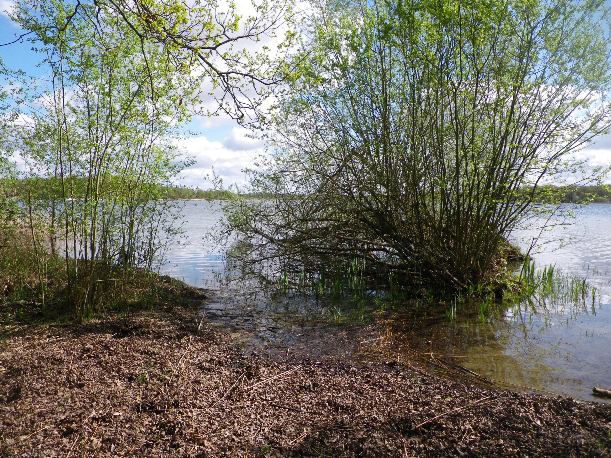 Etangs du Puits _ Cerdon.