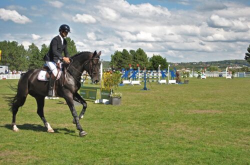 Equitation. Crédit photo : Public Domain