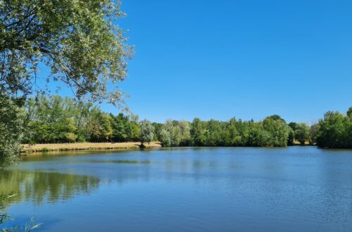 Etang . Crédit photo : OTVDS