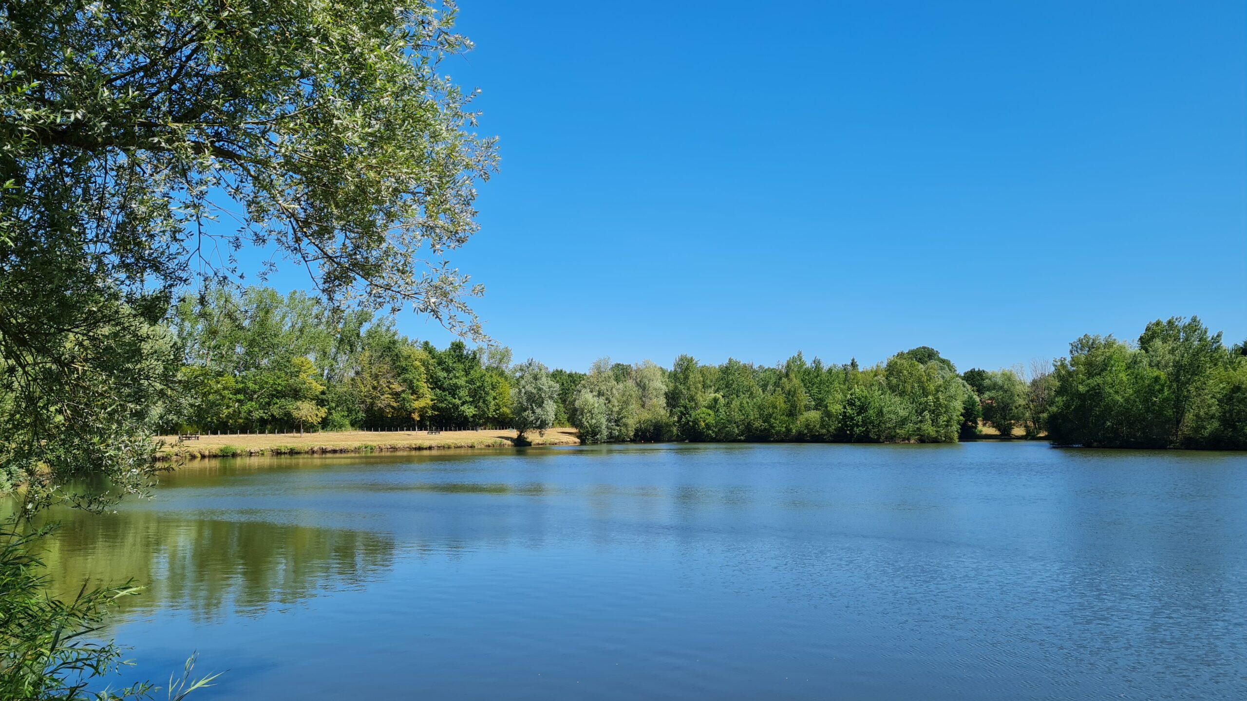Etang . Crédit photo : OTVDS