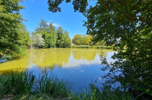 Etang des Monteaux. Crédit photo : OTVDS