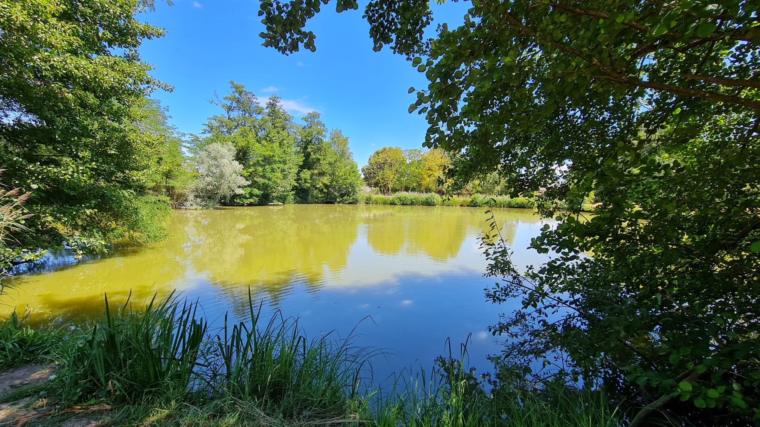 Etang des Monteaux. Crédit photo : OTVDS