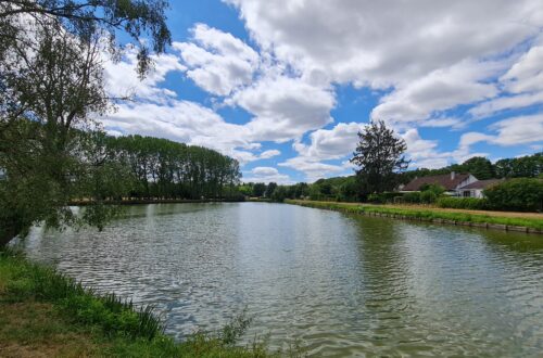 Etang St Florent. Crédit photo : OTVDS