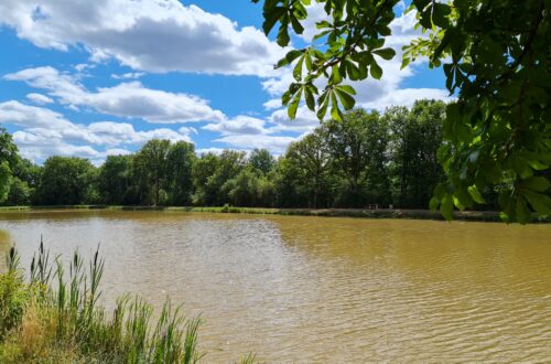 Etang . Crédit photo : OTVDS