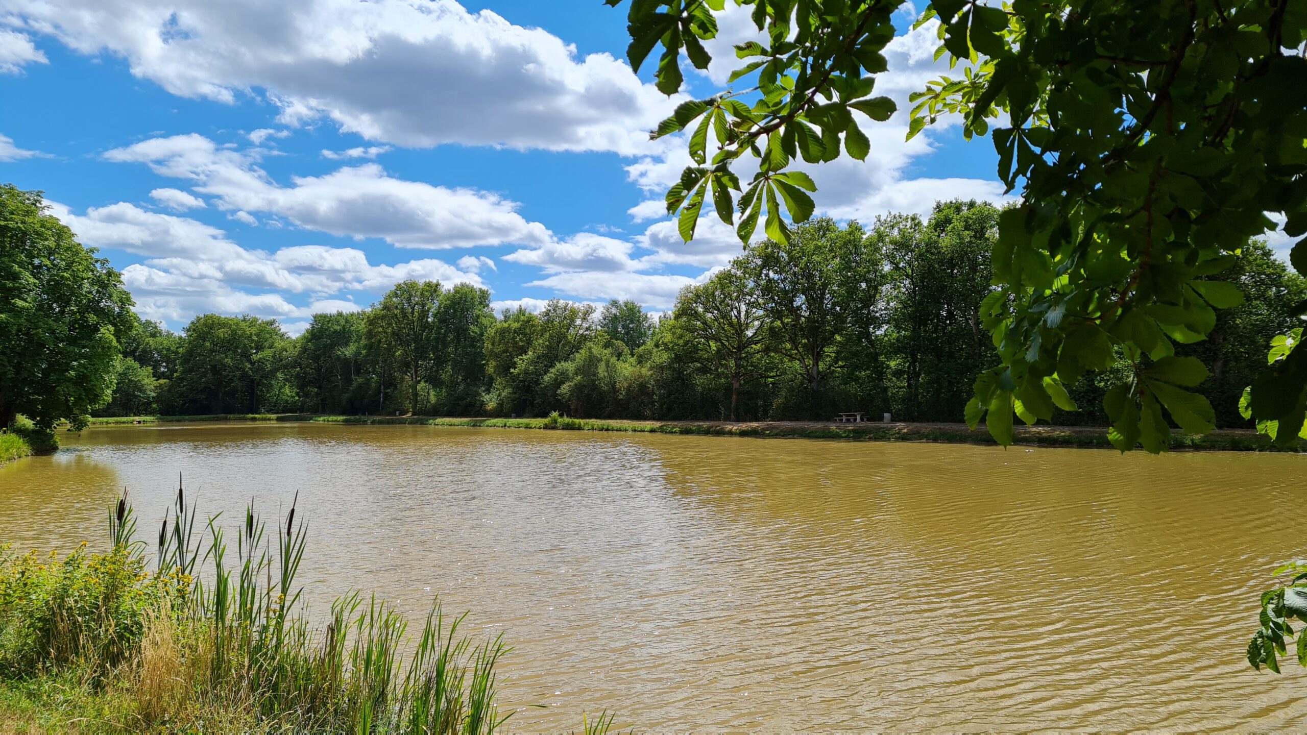 Etang . Crédit photo : OTVDS