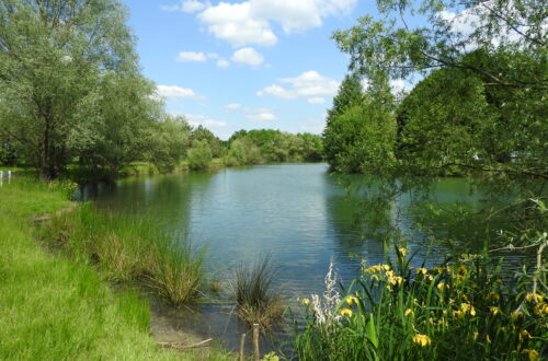 Etang Mitonnerie. Crédit photo : OT SULLY