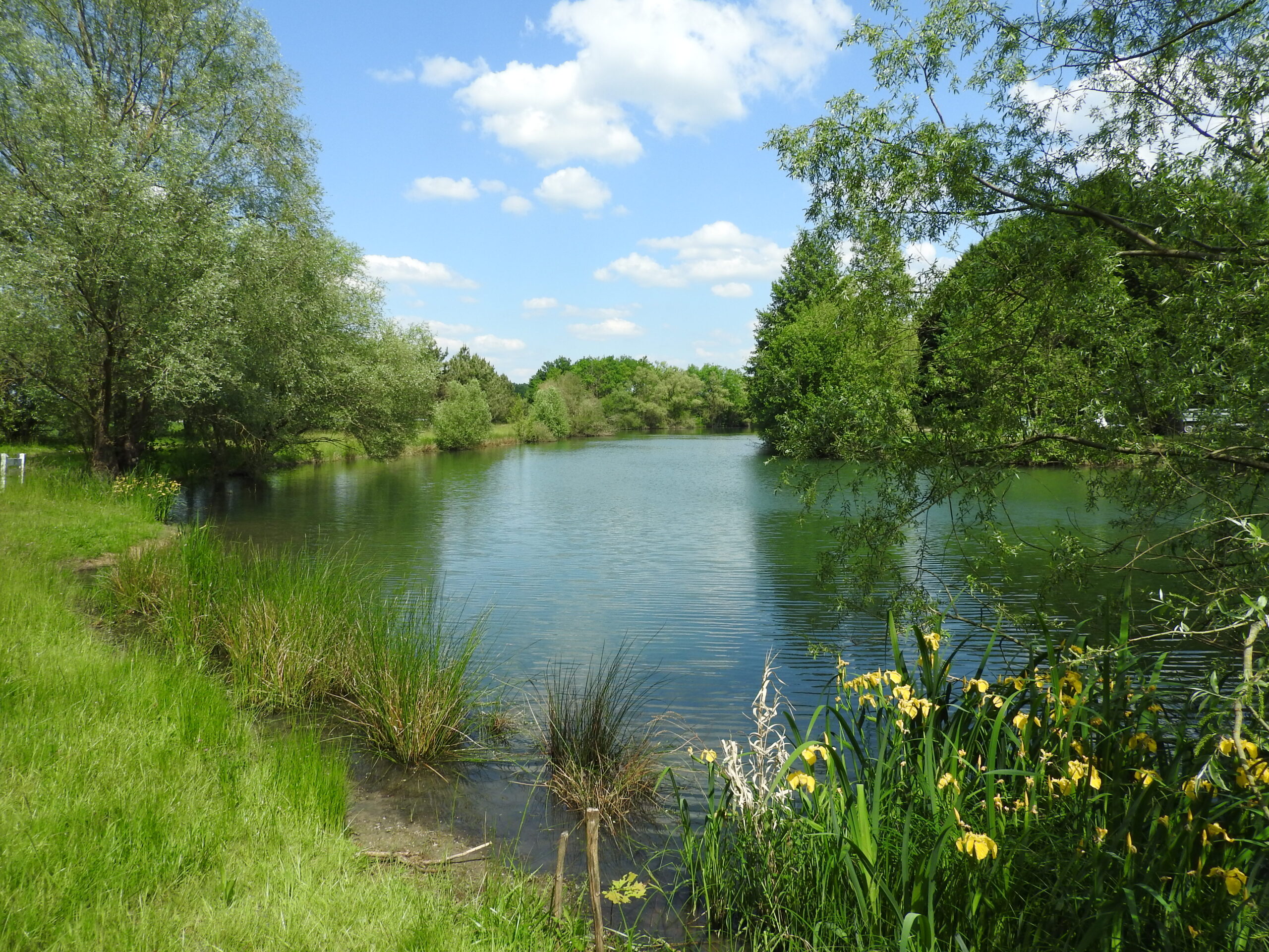 Etang Mitonnerie. Crédit photo : OT SULLY