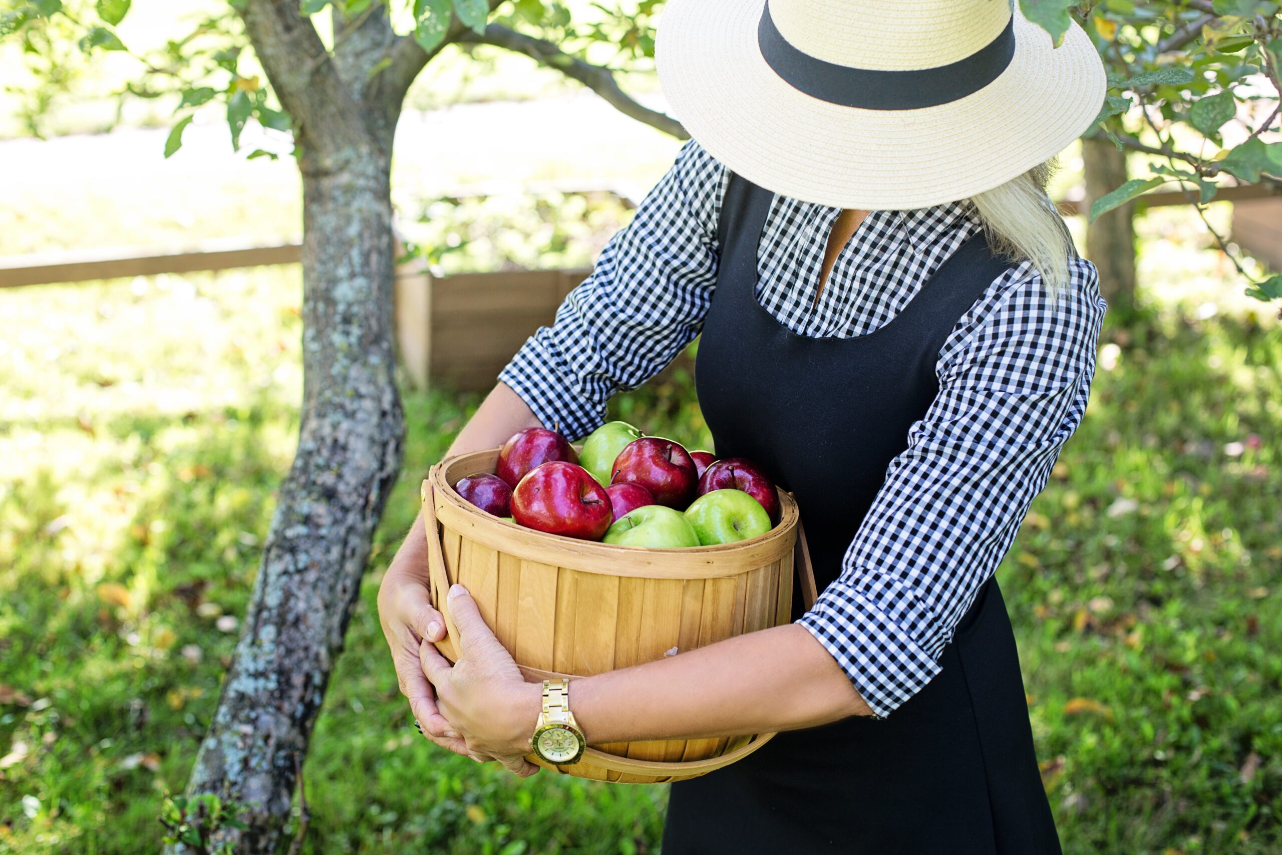 fête de la pomme. LDD. Crédit photo : PIXABAY