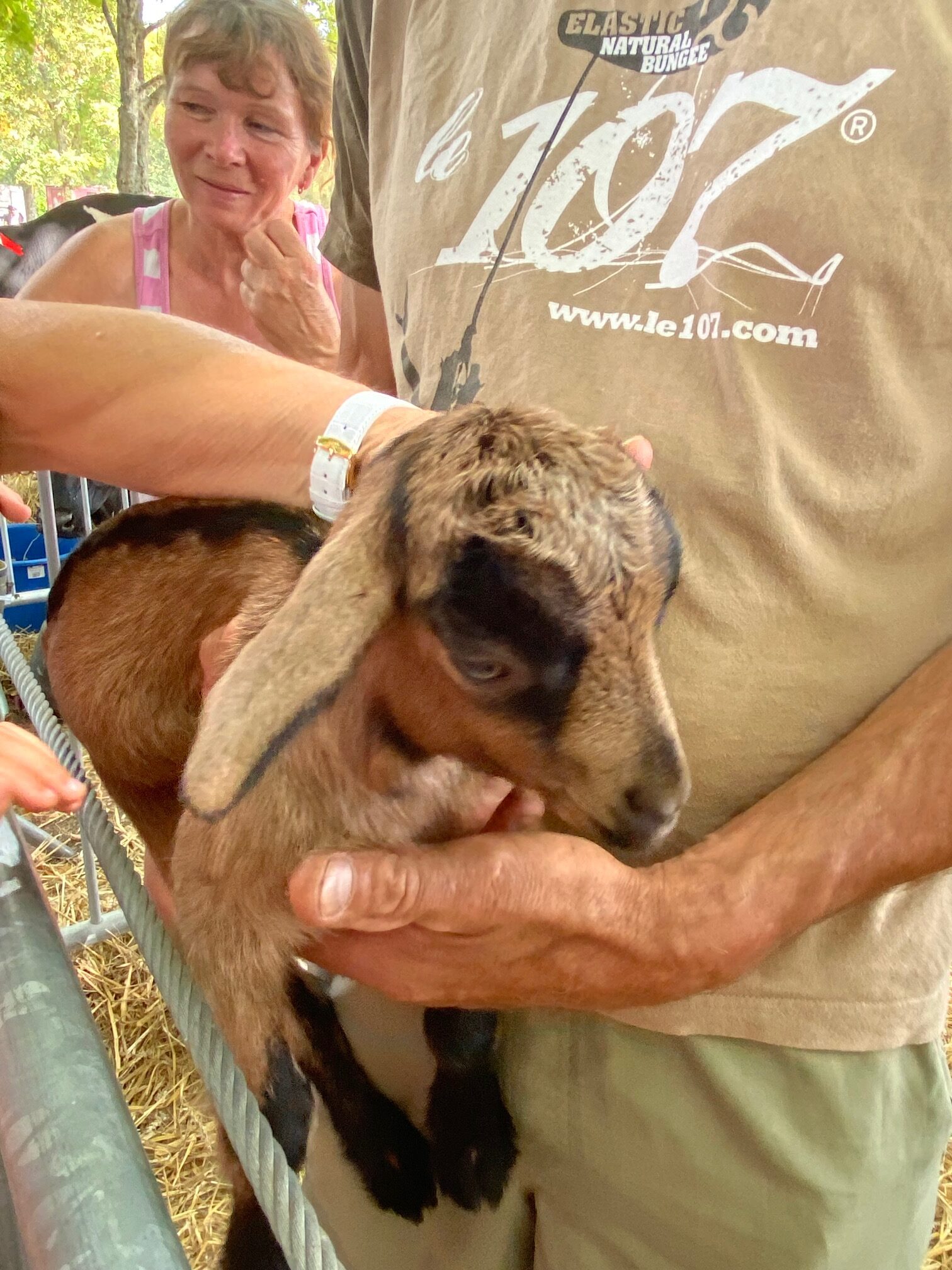 IMG_2795. Crédit photo : Mairie de Sully sur Loire