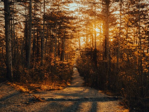 path-7387018_1280. Crédit photo : PIXABAY