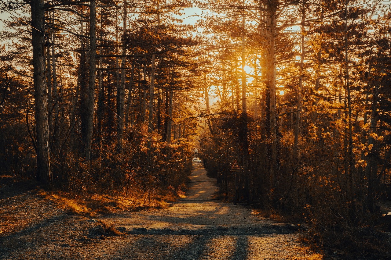 path-7387018_1280. Crédit photo : PIXABAY