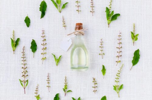 plantes medicinales. Crédit photo : pixabay