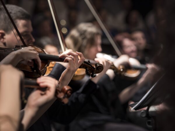 Concert. Crédit photo : PIXABAY