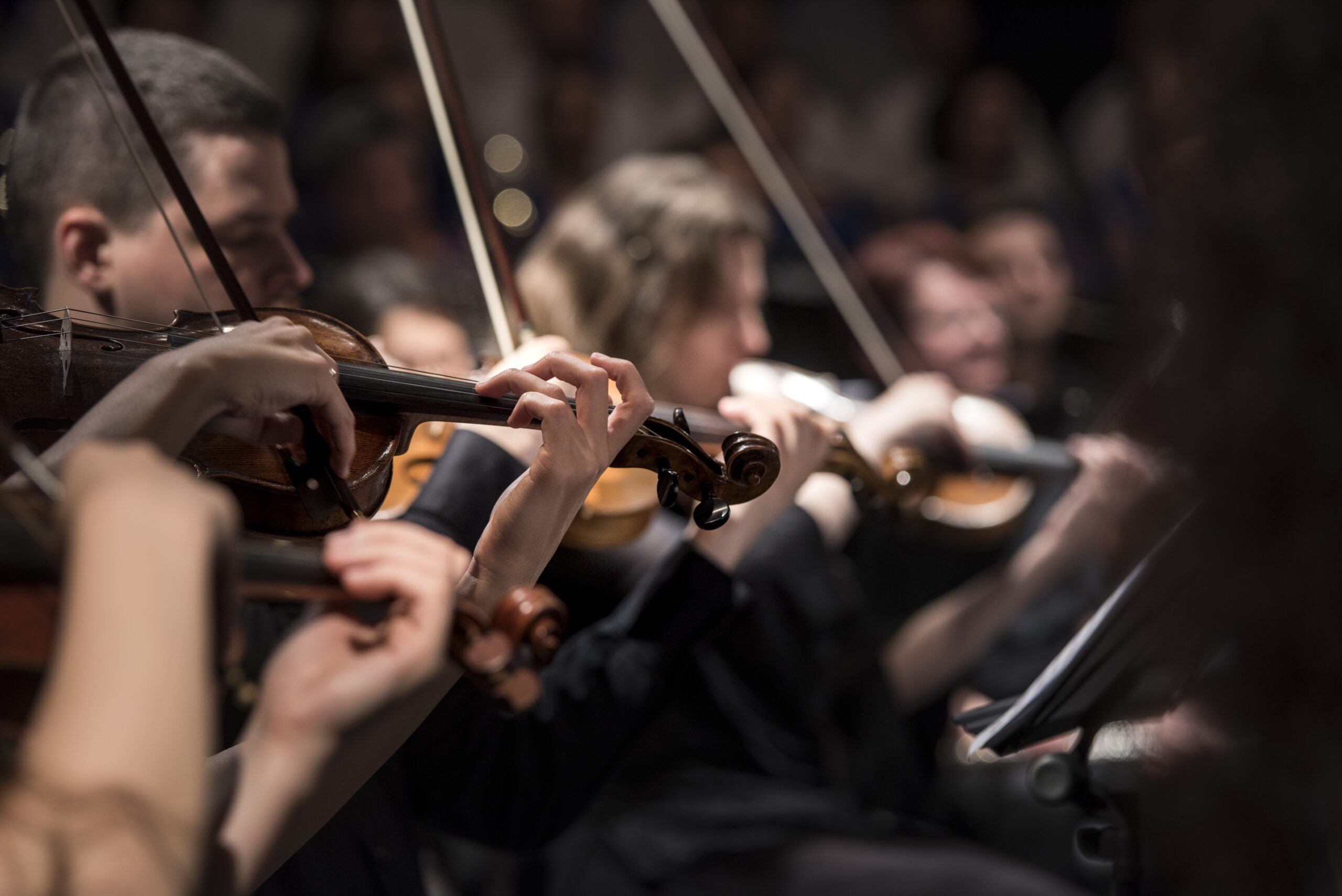 Concert. Crédit photo : PIXABAY