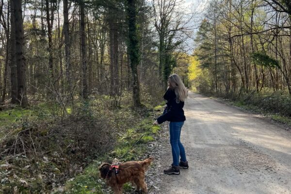 Se balader avec son chien en Val de Sully