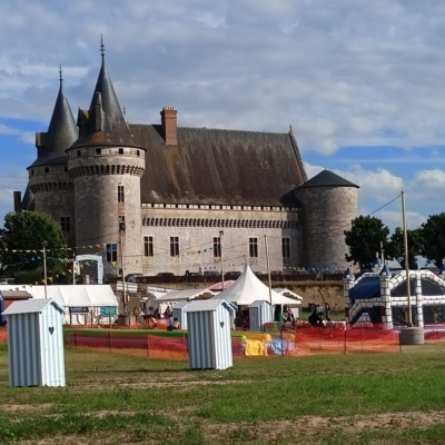 Vue avec château en fond