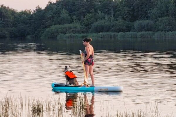 Paddle chien