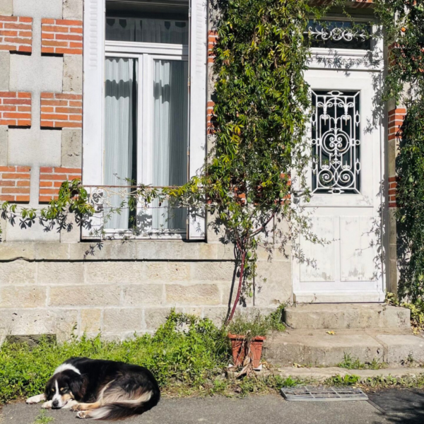 Petite cité de caractère - St Ben - chien