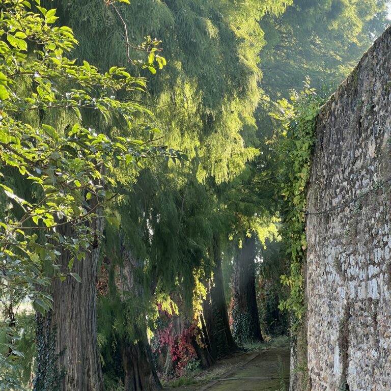 Chemin 1