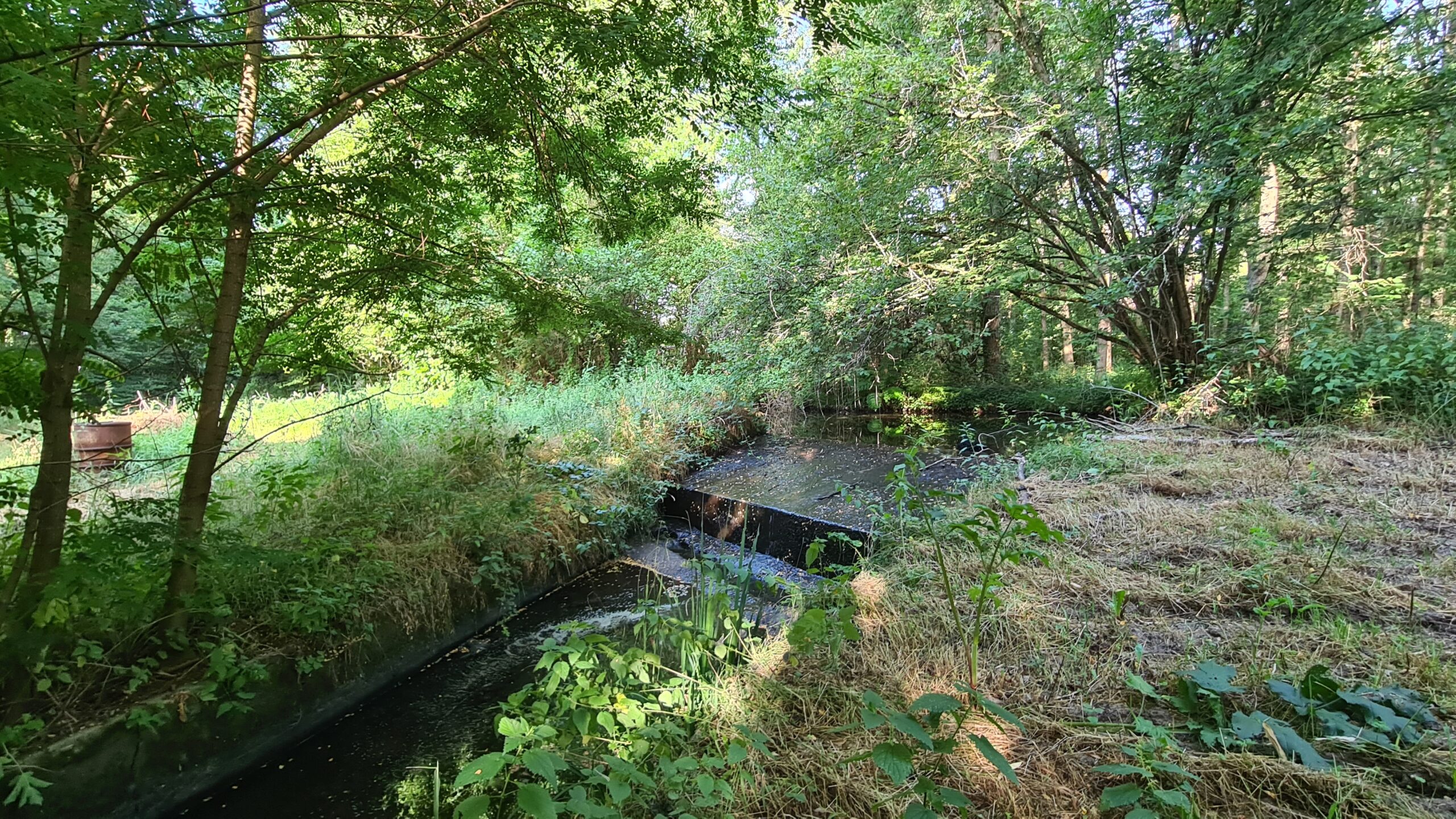 Moulin de Fleuri. Crédit photo : Belvedere Val de Sully