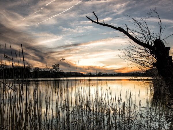 crépuscule. Crédit photo : PIXABAY