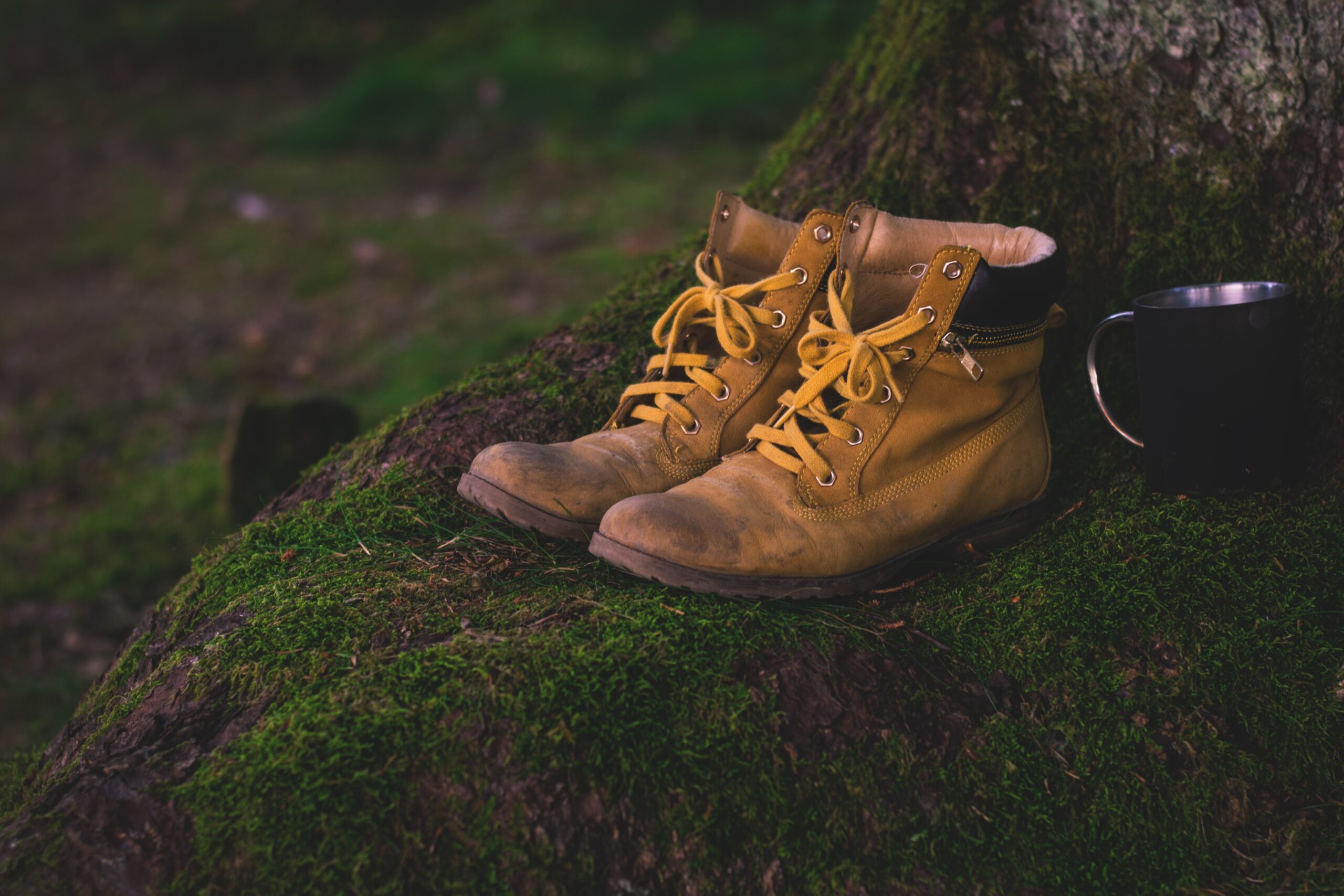 chaussures rando. Crédit photo : Pixabay