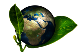 Environnement. Crédit photo : PIXABAY