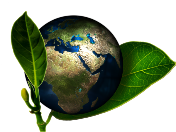 Environnement. Crédit photo : PIXABAY