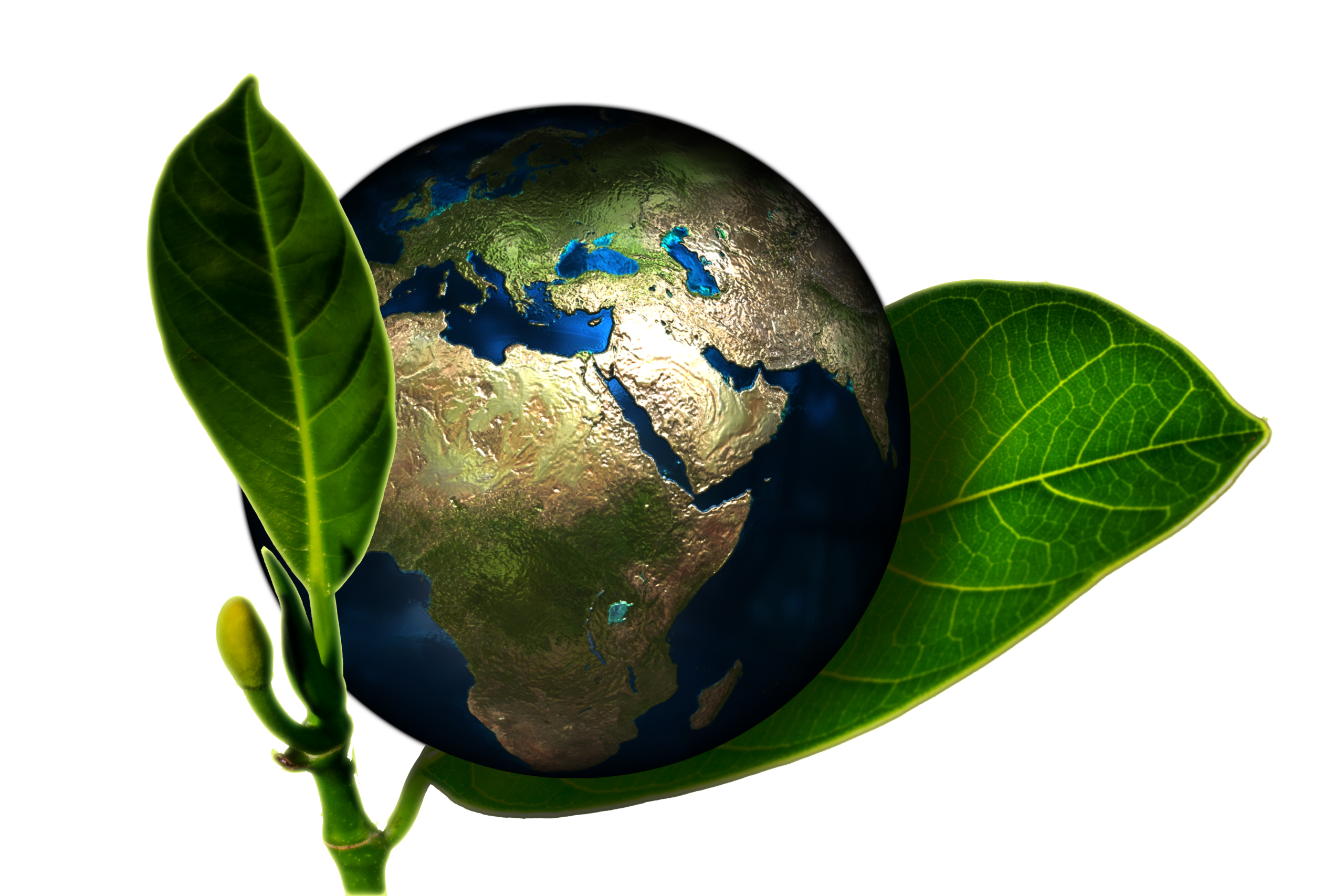 Environnement. Crédit photo : PIXABAY