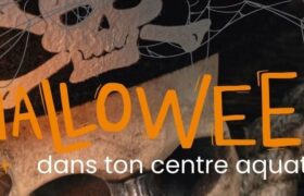 IMAGE HALLOWEEN . Crédit photo : VAL D'OREANE