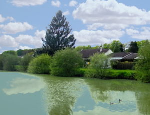 Saint Florent étang